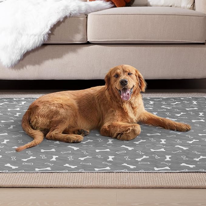 Eterish Reusable Washable Pee Pads for Dogs Extra Large 48'' x 60'' 2 Pack, Absorbent Pet Puppy Dog Training Pads Non-Slip, Waterproof Whelping Potty Pads for Dogs Leak-Proof
