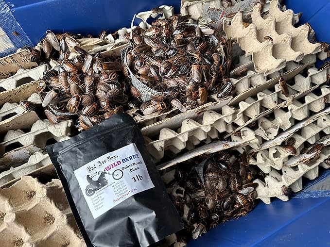 BadAssBugs™ 2LB Dubia Roach Chow Wild Berry