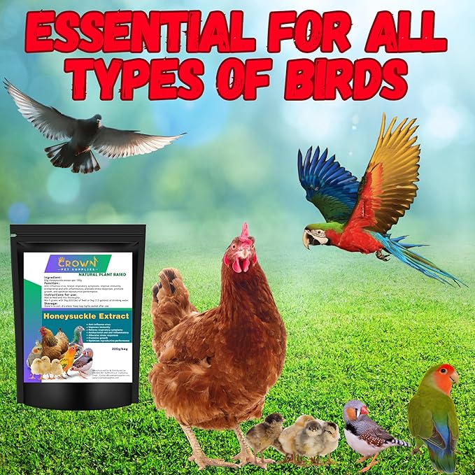 Honeysuckle Extract Powder – All-Natural Herbal Supplement for Immune & Respiratory Support for Backyard Chickens, Poultry, Pigeons, Parrots & All Cage Birds – Natural Booster & Safe for All Birds
