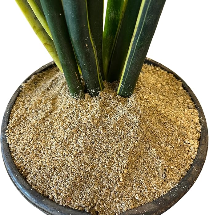 Coarse Sand for Plants – Washed Horticultural Sand for Succulents, Cactus, Bonsai, Potting Mixes & Terrariums | Natural Drainage Sand (1 Quart, 3 lbs)