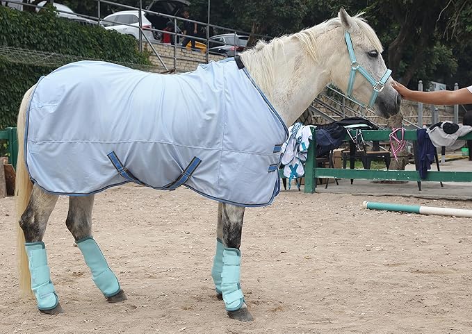 LEAFOREST Horse Fly Boots Set of 4 - Non Slip Leg Protection for Donkey Mini Pony Draft, Breathable Mesh Fly Boots for Pasture & Barn Use Blue Pony