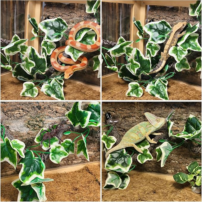BNOSDM 2PCS Reptile Climbing Branch, Bendable Jungle Vine with Leaves Terrarium Plant Decoration with Suction Cup Chameleon Cage Accessories for Gecko Lizard Bearded Dragons Snake (White Vein Ivy)