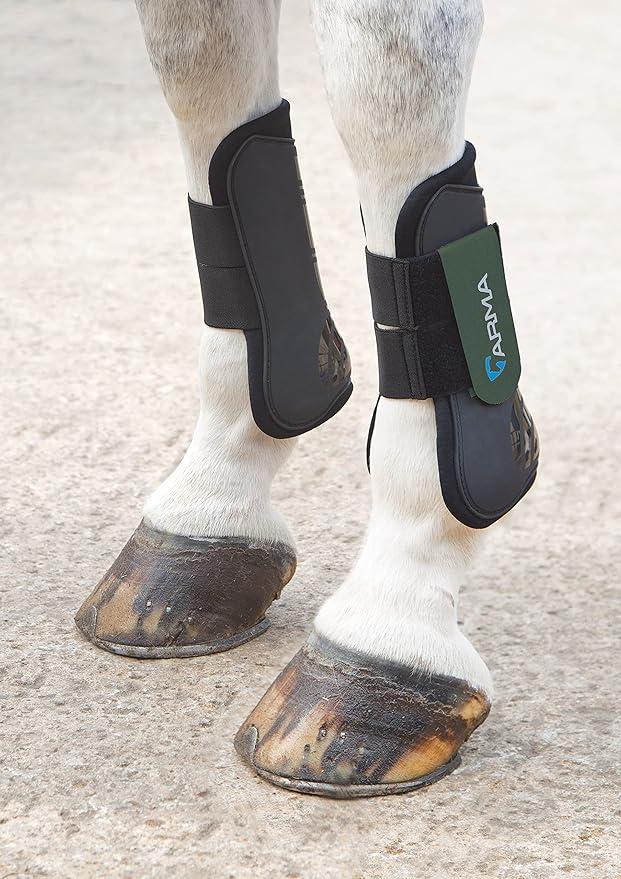 Shires ARMA Tendon Boot