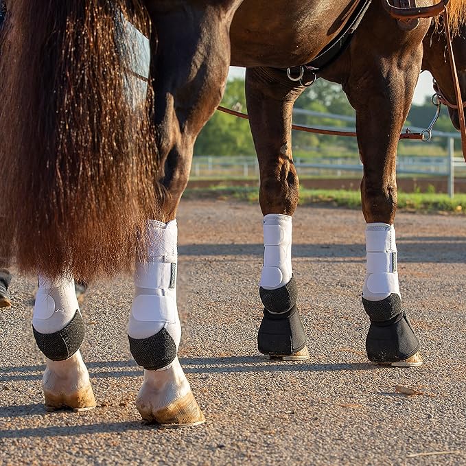 Professional's Choice 2XCOOL Sports Medicine Horse Boots | Protective & Breathable Design for Ultimate Comfort & Durability in Active Horses | Value 4 Pack