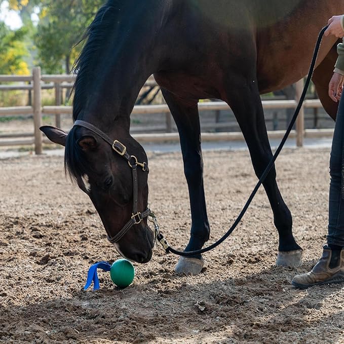 PetKORE: KoreFlex Ball & Tail - Horse-Equine Toy, 4.75" Green Ball, Shape Maintaining Rubber, Durable Strap, Treat Stuffing Center, Toss-Bounce-Play