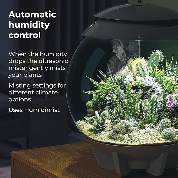biOrb AIR 30, Automated Acrylic Terrarium for Desert or Tropical Plants, Black