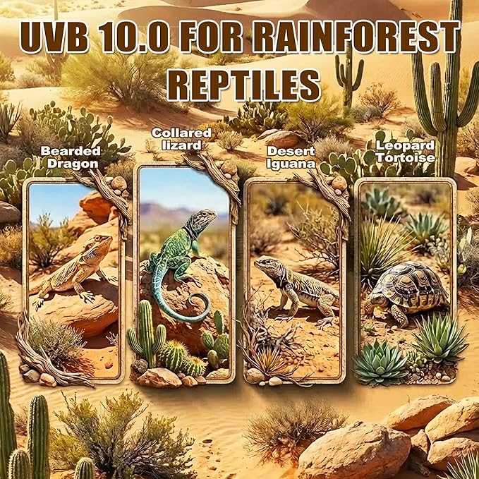 T5 HO UVB Reptile Light Kit, 22.6" Fixture with 14W 10.0 UVB Tube, Suitable for Desert Reptiles Including Adult Bearded Dragons
