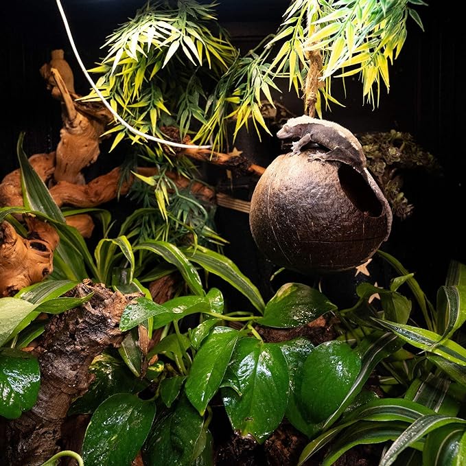 2'x2'x2' Reptile Enclosure - The Zen Habitat 3.0