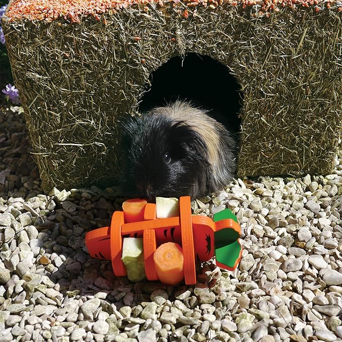 Rosewood Naturals Carrot Cottage Hamster House, Small