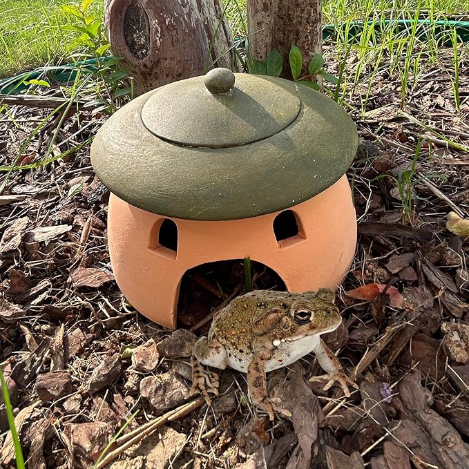 Terracotta Reptile Cave with Green Lid - 8 * 6 Inches Hiding Place for Toad, Frog, Turtle, Lizard
