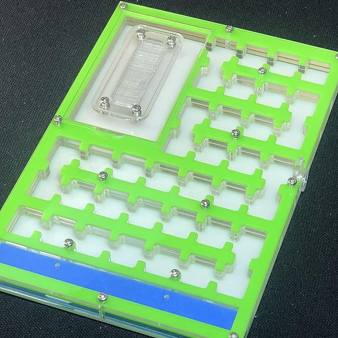ANT Big Space Acrylic Farm Maze, Nest with Feeding Area and moisturing Zone House for Pet Anthill (Green)