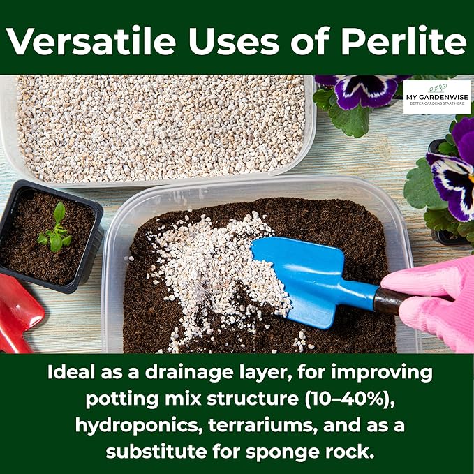 GARDENWISE Perlite for Plants, Coarse and Chunky Horticultural Perlite, Organic Perlite for Gardening Indoor & Outdoor, Perlite Bulk Bag, Made in USA (3 quarts)