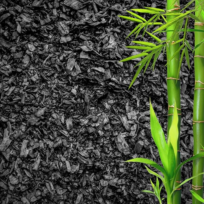 GARDENWISE Horticultural Charcoal for Plants ā Organic Bio Char Soil Amendment for Terrariums, Indoor Plants & Gardening, Made in USA (3 quarts)