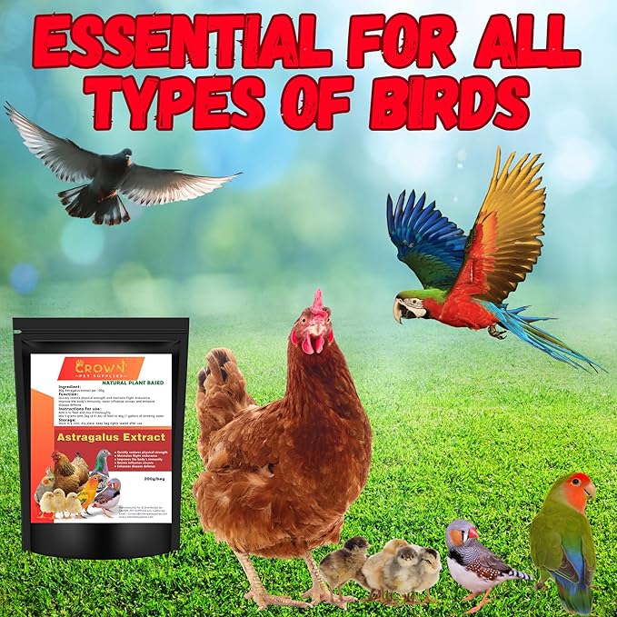 Astragalus Extract Powder for Birds – All-Natural Immune Support Supplement for Backyard Chickens, Poultry, Pigeons, & Parrots – Natural Immune Booster – Safe for All Birds