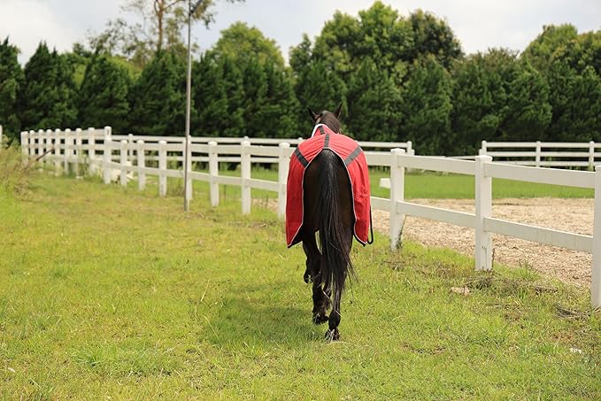 T TEKE Deluxe Horse Canvas Sheet for Snug and Clean in Stable, or as a Blanket Liner. (Size Range 51"-87" Including Mini Horse)