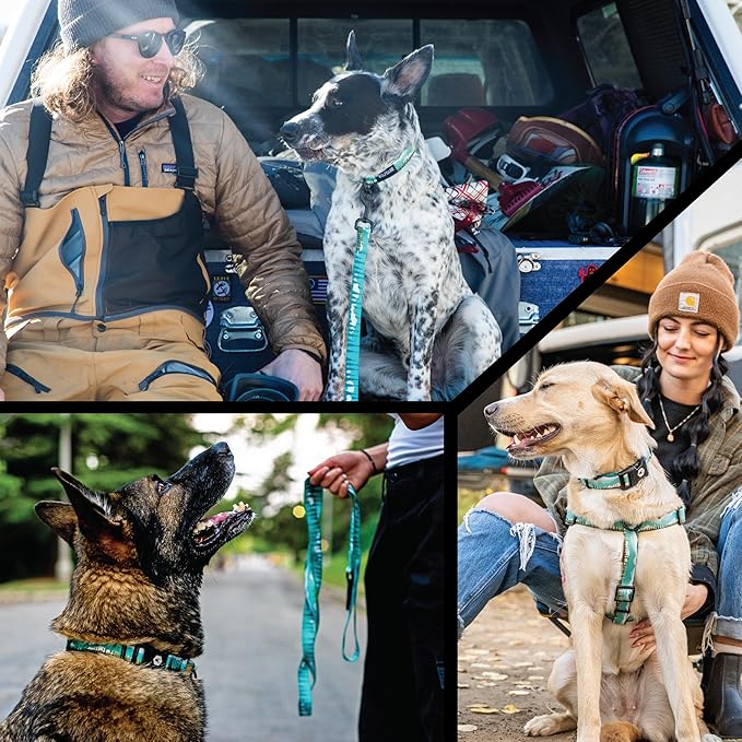 Wolfgang Heavy Duty Adjustable Dog Harness, Pull-Tested for Walking & Training, GreatEscape Print, Small