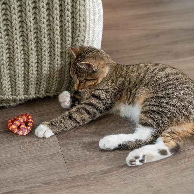 Catstages Plaque Away Pretzel Cat Toy ?€? Interactive Catnip Dental Chew Toy to Help Clean Teeth, Fun for Play and Chewing, Orange (Pack of 2) - Image 8