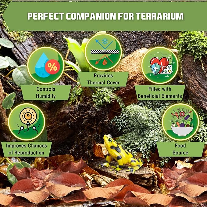 SunGrow Leaf Litter for Snakes, 10 Pcs Medium Indian Almond Catappa Leaves Substrate Maintain Humidity in Corn Snake and Ball Python Terrarium, 7-8 Inches, Reptile Tank Decor Accessories