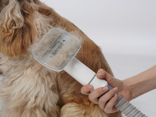[PETMENT] The "Rubber Glove Sweep": How to remove embedded pet hair from fabric sofas in 60 seconds