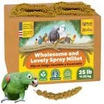 5lbs Wholesome Spray Millet for Birds – USA Grown, Harvested & Packed – 100% Natural Sun-Dried Millet Clusters – for Parakeets, Cockatiels, Conures, Budgies, Finches & All Parrots