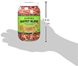 Fluker's Buffet Blend Adult Bearded Dragon Veggie Variety Diet, 4.5 oz (76042)