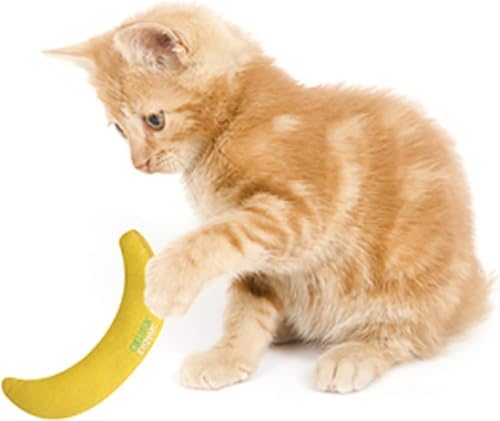 OurPets Cosmic Catnip Filled Cat Toy, Hot Pepper Shape, North American Nip - Image 6