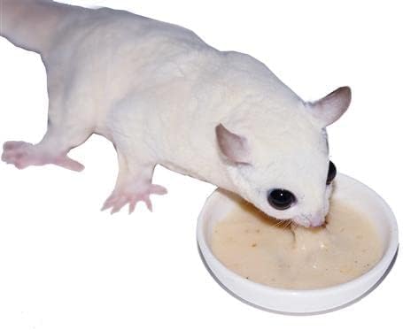 Exotic Nutrition Sugar Glider Complete Deluxe Food Starter Package - Nutritionally Complete Pellet Diet & High Protein Supplemental Food for Sugar Gliders… (3 Piece Set)
