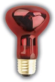PET LIGHT BULB 50 WATTS R20 RED NIGHTLITE REPTILE LAMP SUPRA LIFE