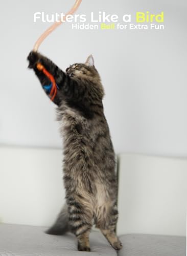 Cat Toys for Indoor Cats, Interactive Wand Toy 3 Pack with Feather and Bell - Image 7