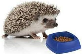 Hedgehog Blend Food