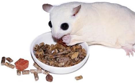Exotic Nutrition Sugar Glider Complete Food Starter Package - Nutritionally Complete Pellet Diet & High Protein Supplemental Food for Sugar Gliders… (2 Piece Set)
