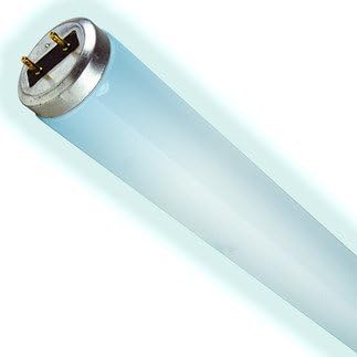 UV Replacement Lamp for Insect Inn Ultra I and Ultra II