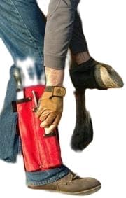 Farrier Friendly Weekender Tool Chap **Colors Will Vary**