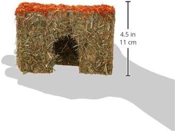 Rosewood Naturals Carrot Cottage Hamster House, Small