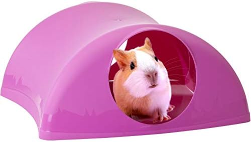 Lixit® Critter Hollow Igloo Hidaway Home for Guinea Pigs, Chinchillas, Rats and Other Small Animals (Pink, 2 Pack)