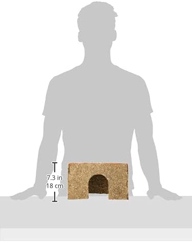 Rosewood Naturals Carrot Cottage House for Guinea Pigs, Chinchillas and Degus, Medium