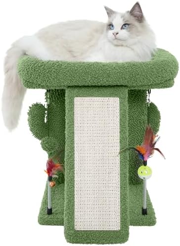 TWDEPART Cactus Cat Tree Tower with Cat Scratching Post for Indoor Cats,Activity Centre Climbing Tree Cat Furniture with Playful Toy Balls,Green by TINWEI