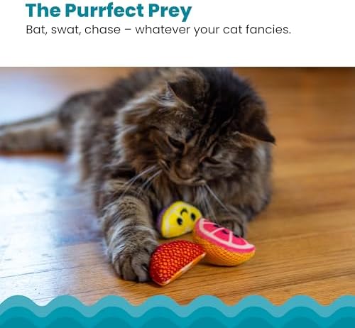 Catstages Dental Fruit Wedges Chew Cat Toys with Catnip, 5.3", 4-Pack - Image 4