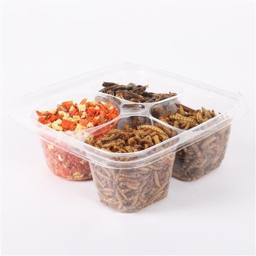Exotic Nutrition Hedgehog Treat Sampler - Healthy Natural Treat Variety Pack - High Protein Insect Variety Pack for Pet Hedgehogs