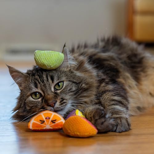 Catstages Dental Fruit Wedges Chew Cat Toys with Catnip, 5.3", 4-Pack - Image 6