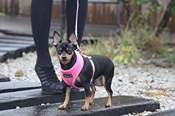 Puppia Soft Dog Harness No Choke Over-The-Head Triple Layered Breathable Mesh Adjustable Chest Belt and Quick-Release Buckle, Beige, X-Large