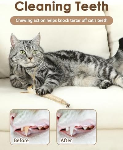 Tocirelo Silvervine Sticks with Feathers for Indoor Cats, Kitten Chew Toys - Image 3