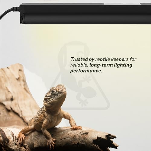 Reptile Systems T5 Ferguson Zone 2 Reptile Lamp – 24-in, 24-watt – Light for Reptiles, Chameleons & Geckos – Ideal for Tanks & Vivariums