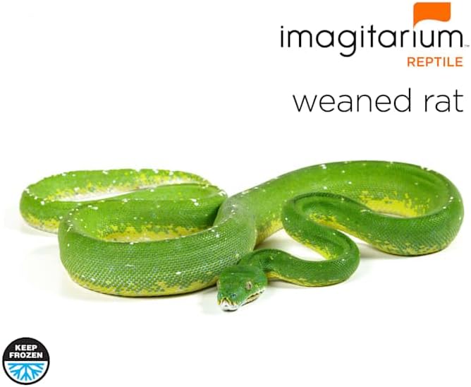imagitarium Frozen Weaned Rat, Count of 50