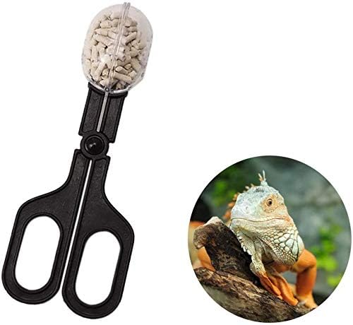 10.6 inch Reptile Feeding Tongs, 3 Pcs Tweezers Cricket Clamp Bug Scooper, Stainless Steel Straight and Curved Tweezers Set for Insects Lizard Turtle Snake Spider Frog Gecko Chameleon
