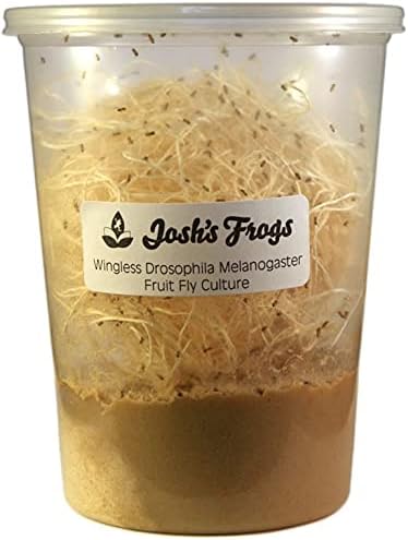 Josh's Frogs Wingless Drosophila Melanogaster Fruit Fly Cultures (Fresh)