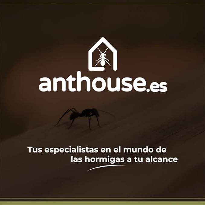 Anthouse.ES - Modular 3D Ant Farms - QBIK Foundation Model - Expandable Terrarium for Ant Colonies - Small Galleries and Foraging Room - 6.78x12.78x5 cm