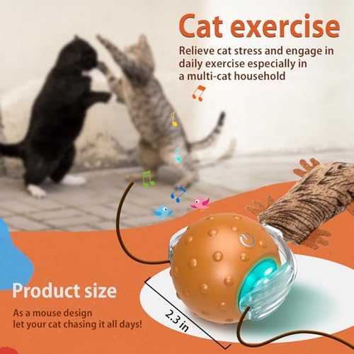 Oxawo Cat Toys Interactive Self Rolling Cat Balls Mouse - Image 3