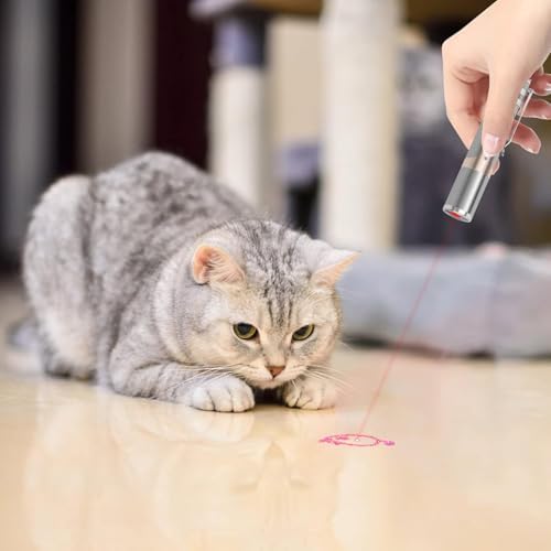 TBTeek Cat Toys, with Metal Case, 2 Pieces, Rechargeable, 7 Adjustable Patterns, Interactive Kitten Pet Dog Chase Toy for Cats Fun Playing Exercise - Image 2