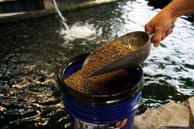 Aquatic Nutrition Blackwater Premium Koi and Goldfish Food Ultimate Combo 14 lb resealable Bucket